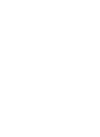 Abelha